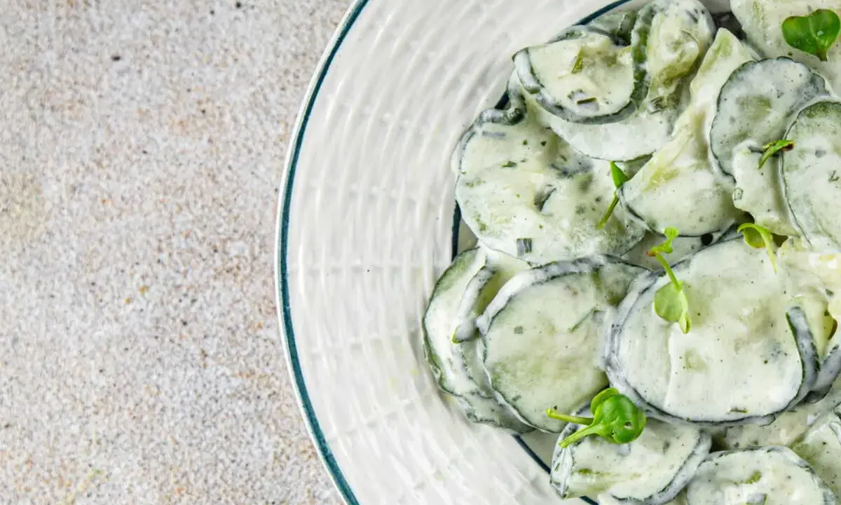 Salade de concombre crémeuse, garnie de jeunes pousses. Une délicieuse sauce concombre pour accompagner vos plats.