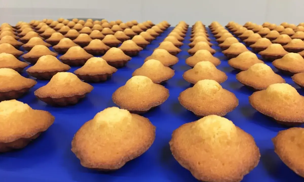 Des madeleines dorées, une spécialité de Caen, alignées sur un fond bleu.