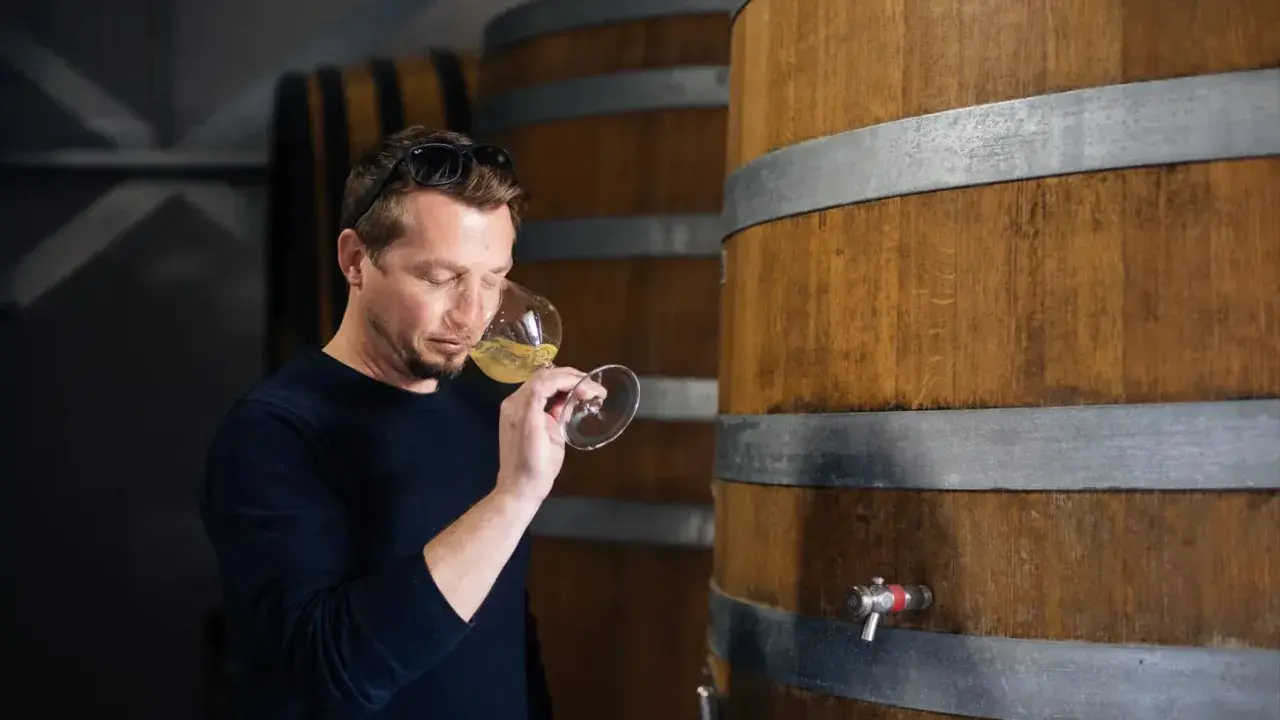 Un homme déguste un verre de vin blanc, peut-être un sauvignon sec ou moelleux, dans une cave à vin près de fûts en bois.