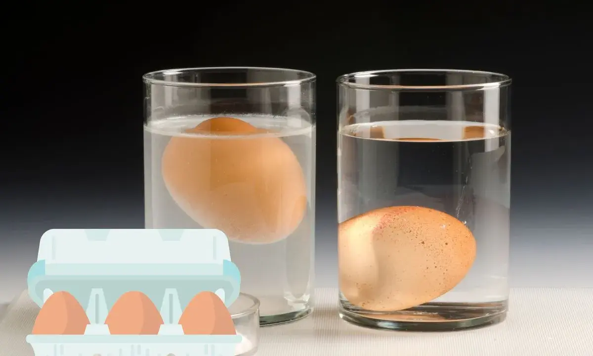 Un œuf qui flotte dans un verre d'eau, un autre repose au fond. Une boîte d'œufs est visible au premier plan.