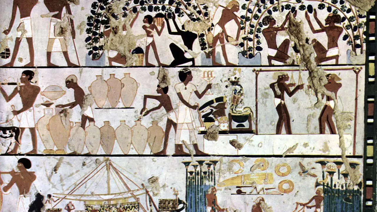 Fresque égyptienne : vendanges, foulage du raisin, mise en jarres et transport par bateau, scènes de l'invention du vin.