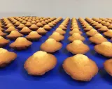 Des madeleines dorées, une spécialité de Caen, alignées sur un fond bleu.