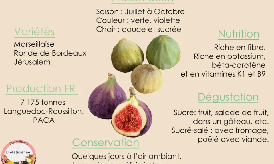 Figues vertes et violettes, parfaites pour la saison des figues. Douces, sucrées, riches en fibres et vitamines. Idéales en dessert ou avec du fromage.