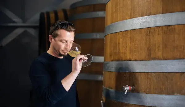 Un homme déguste un verre de vin blanc, peut-être un sauvignon sec ou moelleux, dans une cave à vin près de fûts en bois.