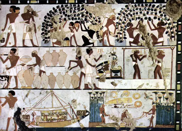 Fresque égyptienne : vendanges, foulage du raisin, mise en jarres et transport par bateau, scènes de l'invention du vin.