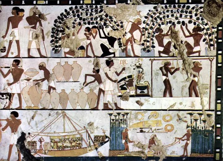 Fresque égyptienne : vendanges, foulage du raisin, mise en jarres et transport par bateau, scènes de l'invention du vin.